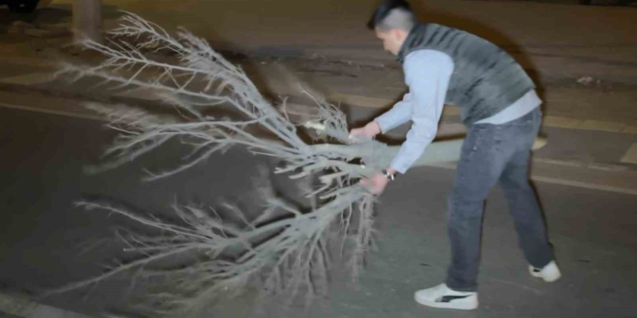 Kaza Sonrası Cam Ve Plastik Parçalarıyla Dolan Yolu Vatandaş Kırılan Ağaçla Böyle Temizledi