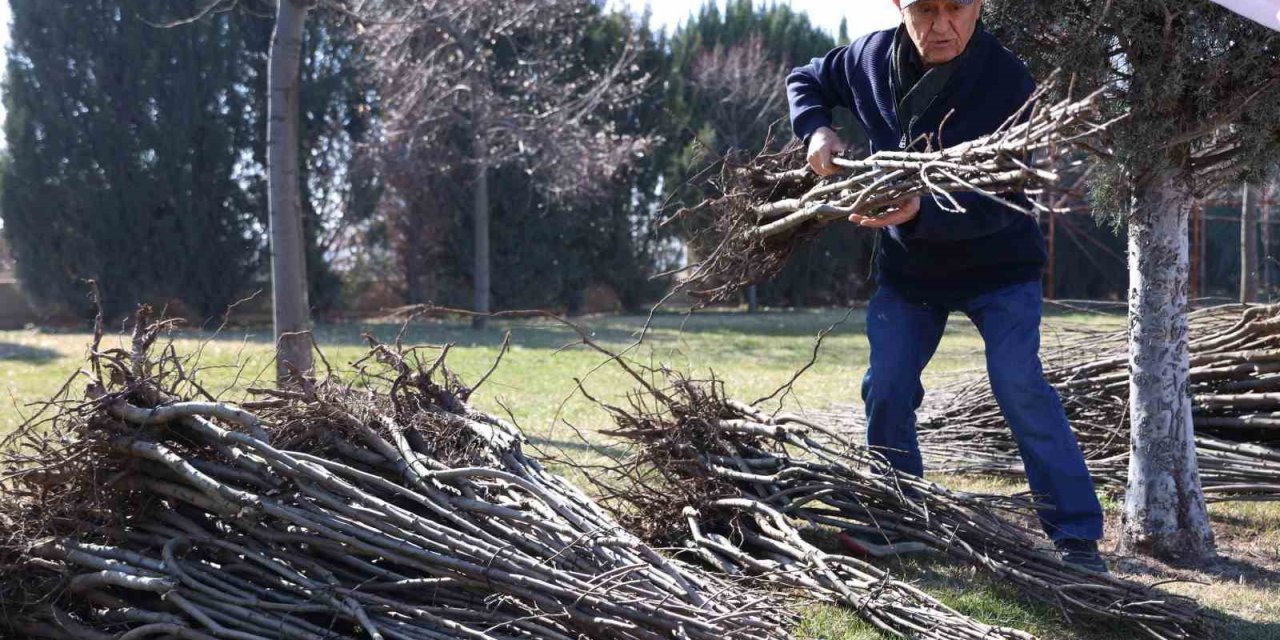 Başkan Altay: "23 Bin 500 Adet Fidanı Çiftçimize Ulaştıracağız"