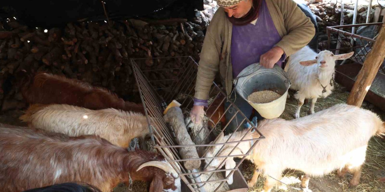 Korkuteli’nde Yem Ezme Ve Kırma Makinesi Üreticiye Kolaylık Sağlıyor