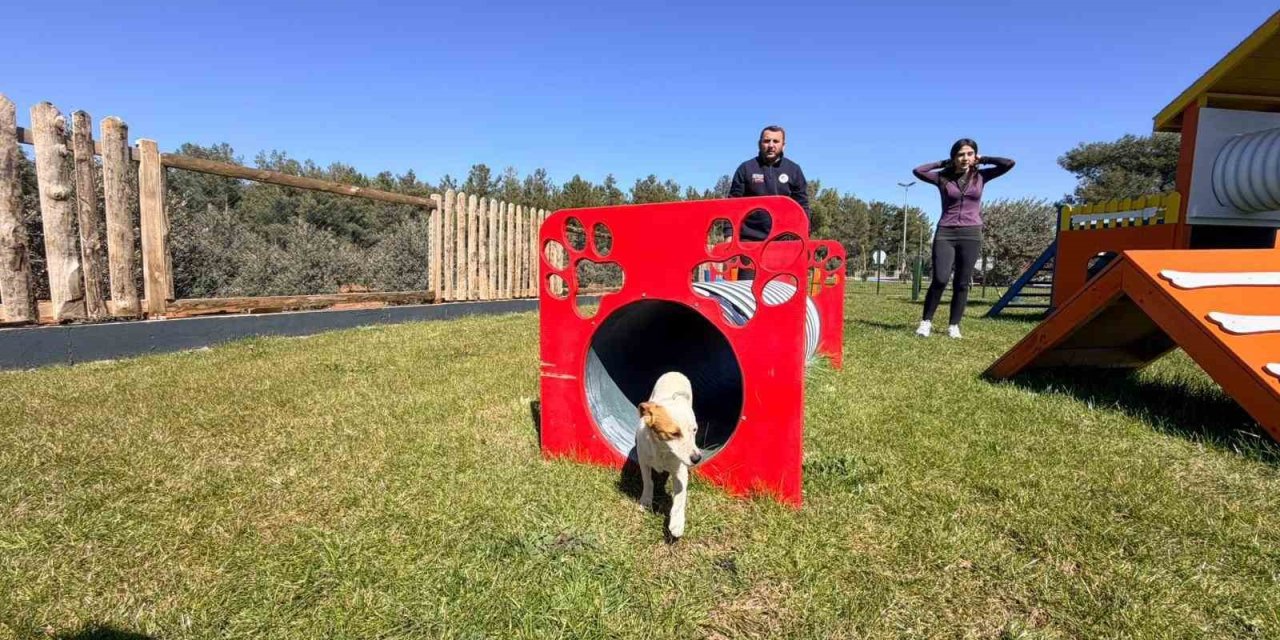 Duacı Mahallesi’nde Pati Park Hizmet Açıldı