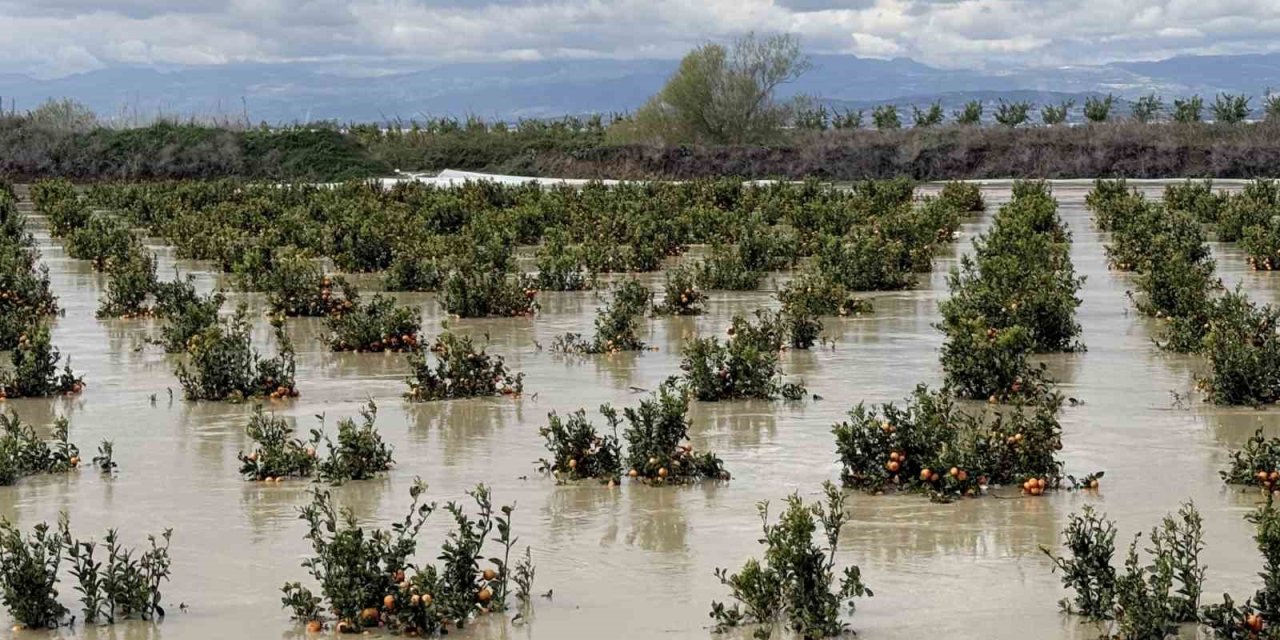 Yağışlar Tarım Arazilerini Vurdu