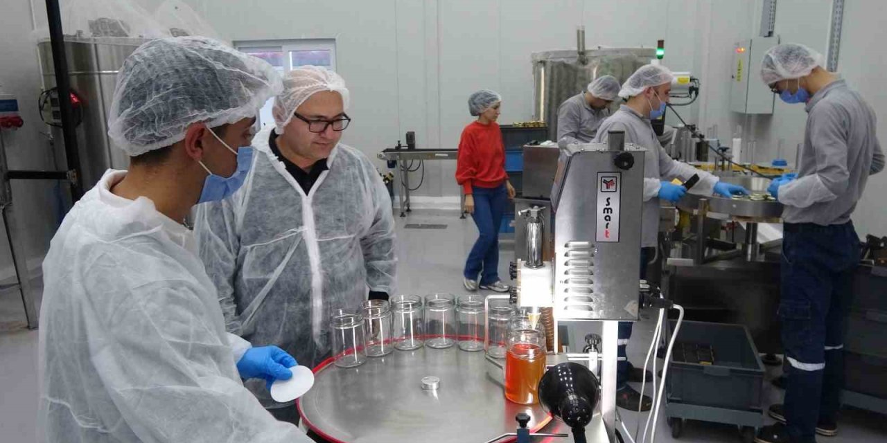 Arıcılar Teknolojiyi Yakından Takip Ediyor: Devlet Desteğiyle Modern Tesis Kurdu, 40 Kişiye İstihdam Sağladı