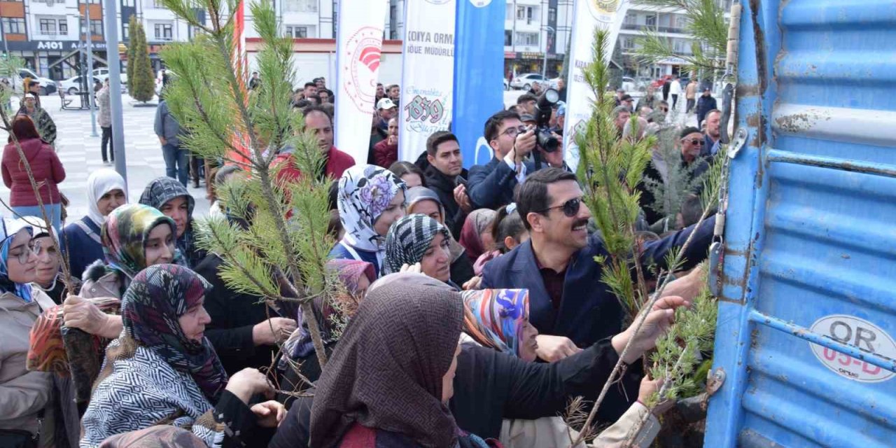 Karapınar’da Ağaçlandırma Etkinliği