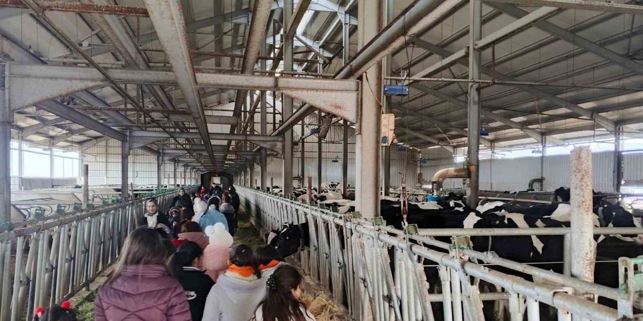 Çocuklar, Tarımsal Üretimi Yerinde İnceledi