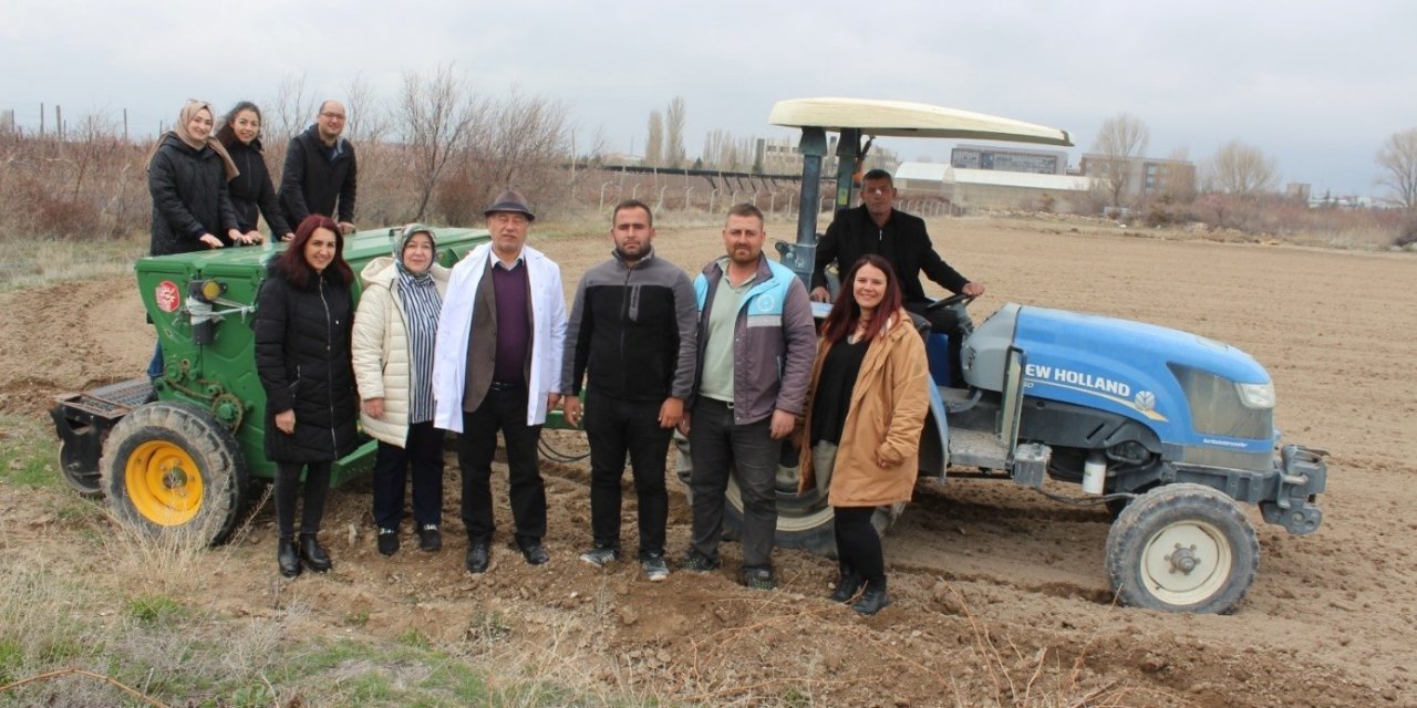 Niğde’de Kadın Kooperatifleriyle Çörek Otu Ekimi Tamamlandı