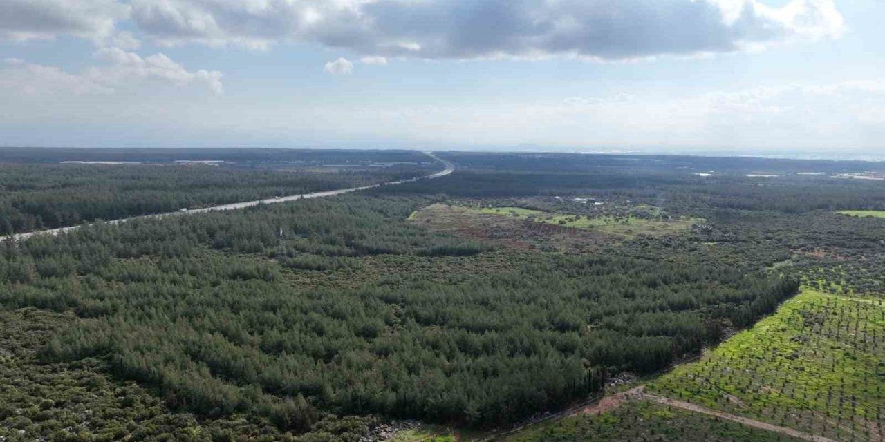 "81 İlde 81 Orman" Projesi İlkbahar Dikimleriyle Devam Ediyor