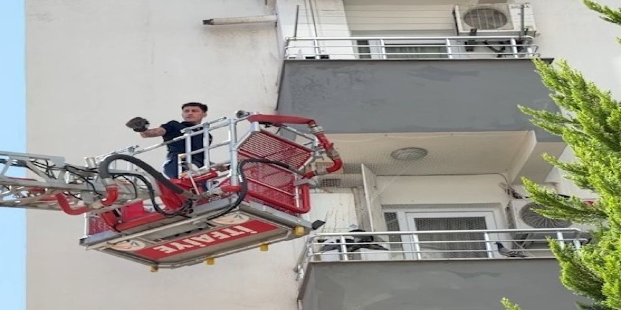 Balkon Filesine Takılan Güvercini İtfaiye Kurtardı
