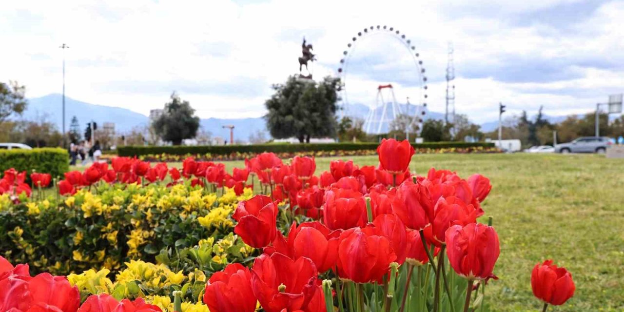 Baharın Müjdecisi Laleler Antalya Sokaklarını Renklendirdi