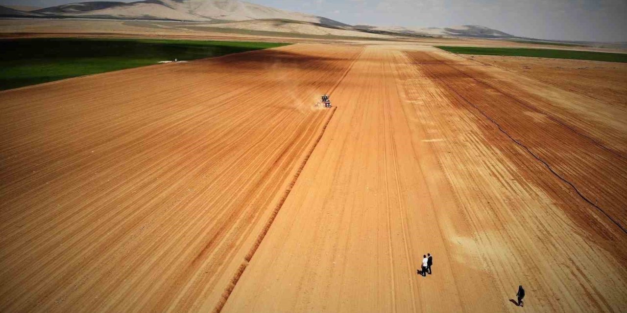 Konya Ovası’nda Yağışlar Rekolte Beklentisini Arttırdı