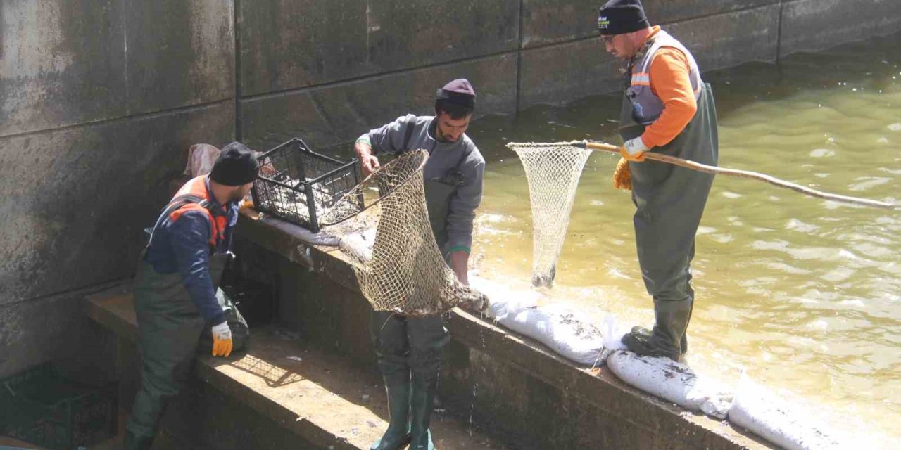 Konya’nın ’denizinde’ Balıkları Kurtarmak İçin Zamanla Yarış
