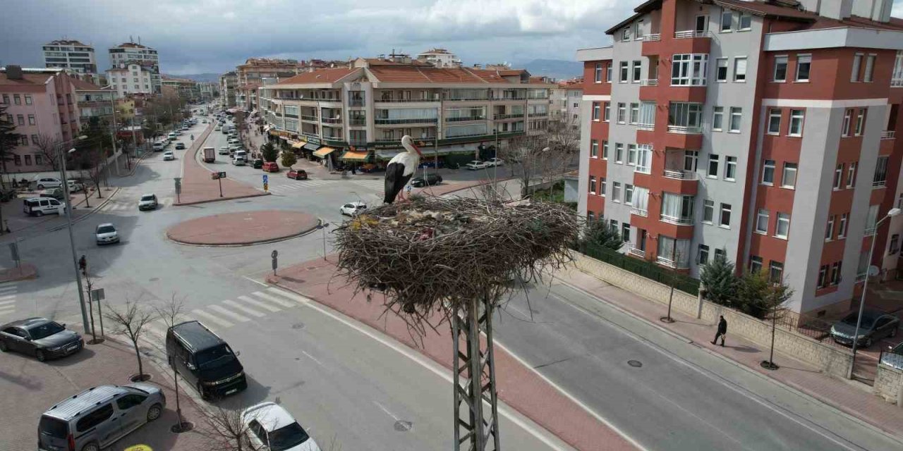 Konya’nın Leylekleri Direkteki Yuvalarına Geldi