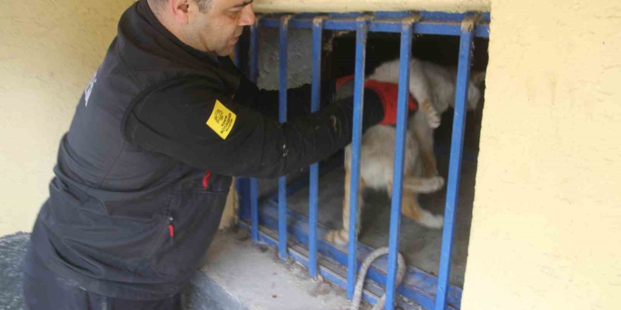 Açlıktan Bitkin Düşen Kedi İtfaiye Ekiplerince Kurtarıldı