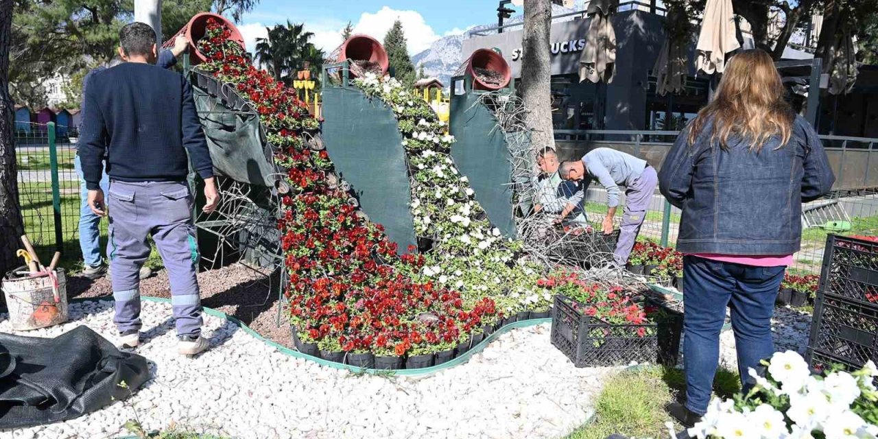 Kemer Yaz Sezonuna Hazırlanıyor, İlçe Petunyalarla Süsleniyor