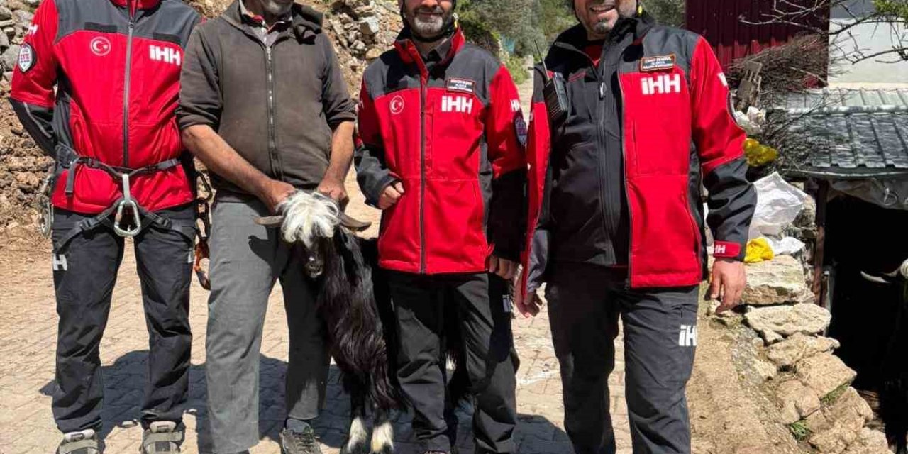 Mahsur Kalan 2 Keçi, 100 Metrelik Sarp Araziden Kurtarıldı