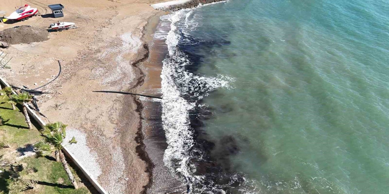 Alanya’da Sahildeki Siyah Tabaka Önce  Tedirgin Etti, Gerçek Sonradan Ortaya Çıktı