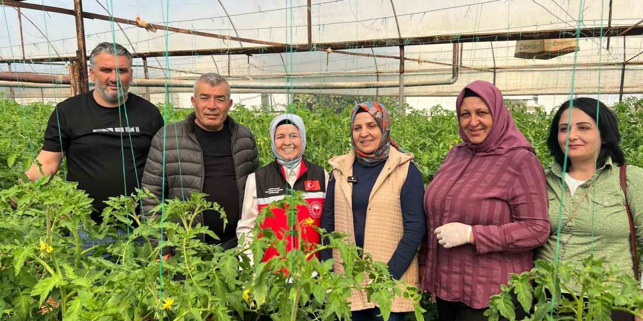 Aksu’da Örtü Altı Tarımda Yıllık Yaklaşık 370 Bin Tonluk Rekoltenin Tamamı Kadın Çiftçilerin Emeğiyle Üretiliyor