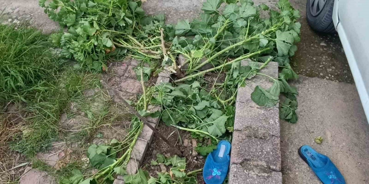 Antalya’da Küçük Çocuk İkinci Kattan Düştü, Olayı Kırıklarla Atlattı