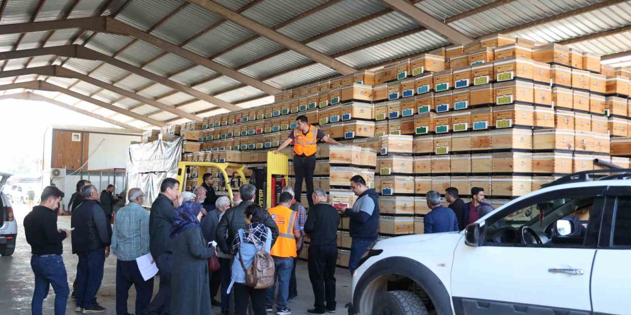 Büyükşehirden Üreticiye Arı Kovanı Desteği