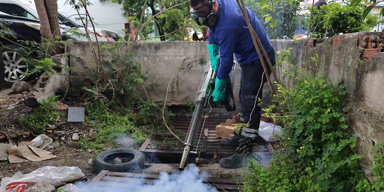 Büyükşehir’den Sinek Üreme Alanlarında Yoğun Çalışma