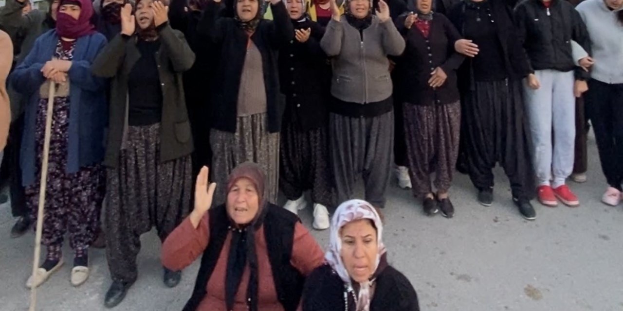 Mersin’de Ormanlık Alana Ekili Narenciye Bahçelerinin Kaldırılması Kararına Tepki