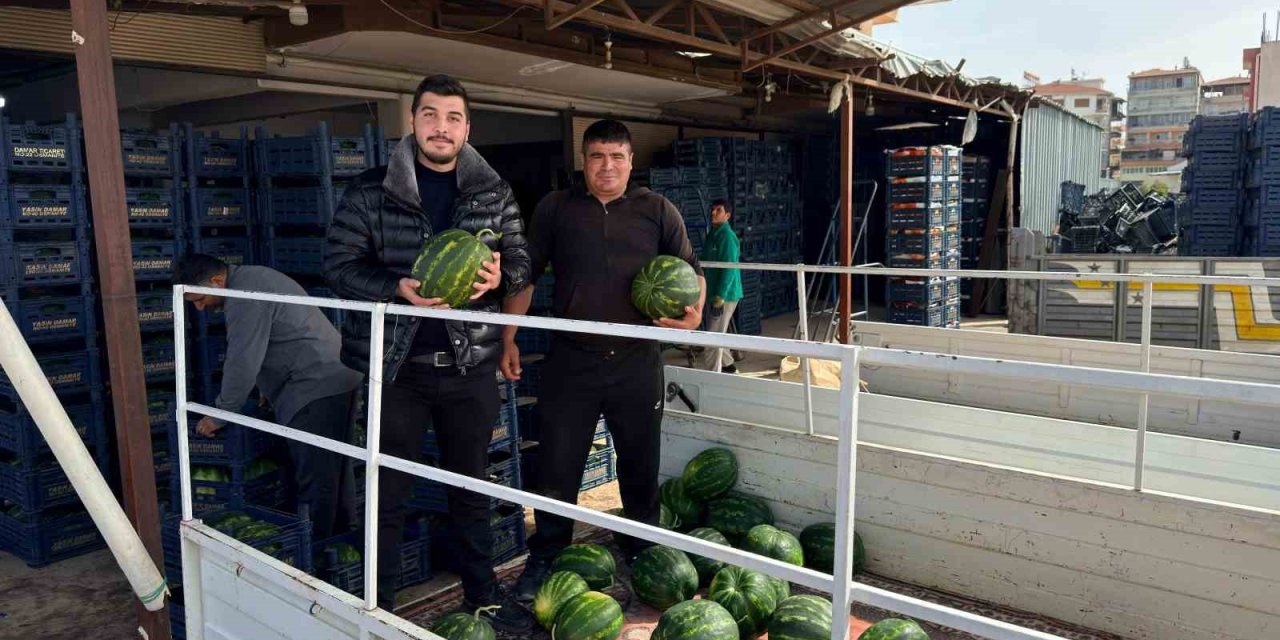 Antalya’da Sezonun İlk Karpuz Hasadı Yapıldı