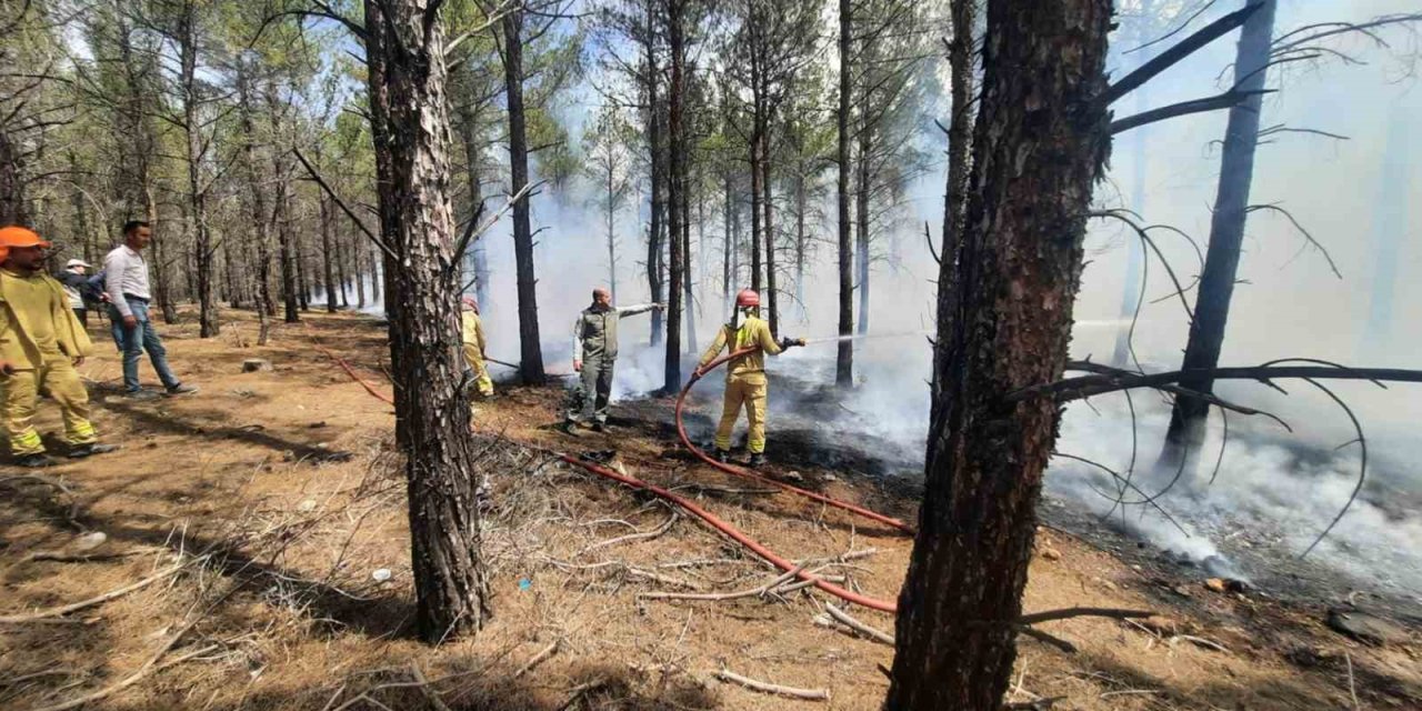 Mersin’de Orman Yangınlarına Karşı Tatbikat Yapıldı