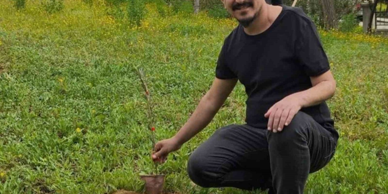 Mut Devlet Hastanesi Bahçesine 150 Fidan Dikildi