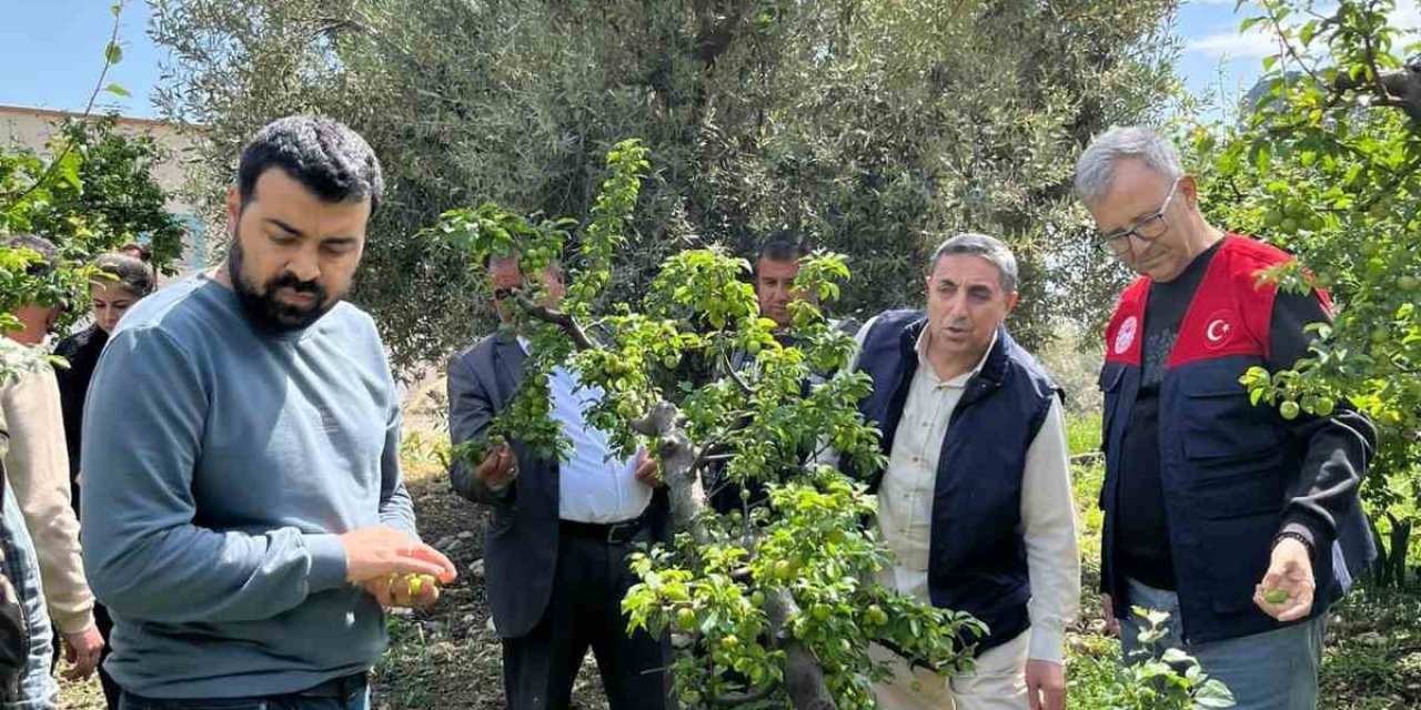 Dolu Afeti Sonrası Hasar Tespit Çalışmalarına Başlandı