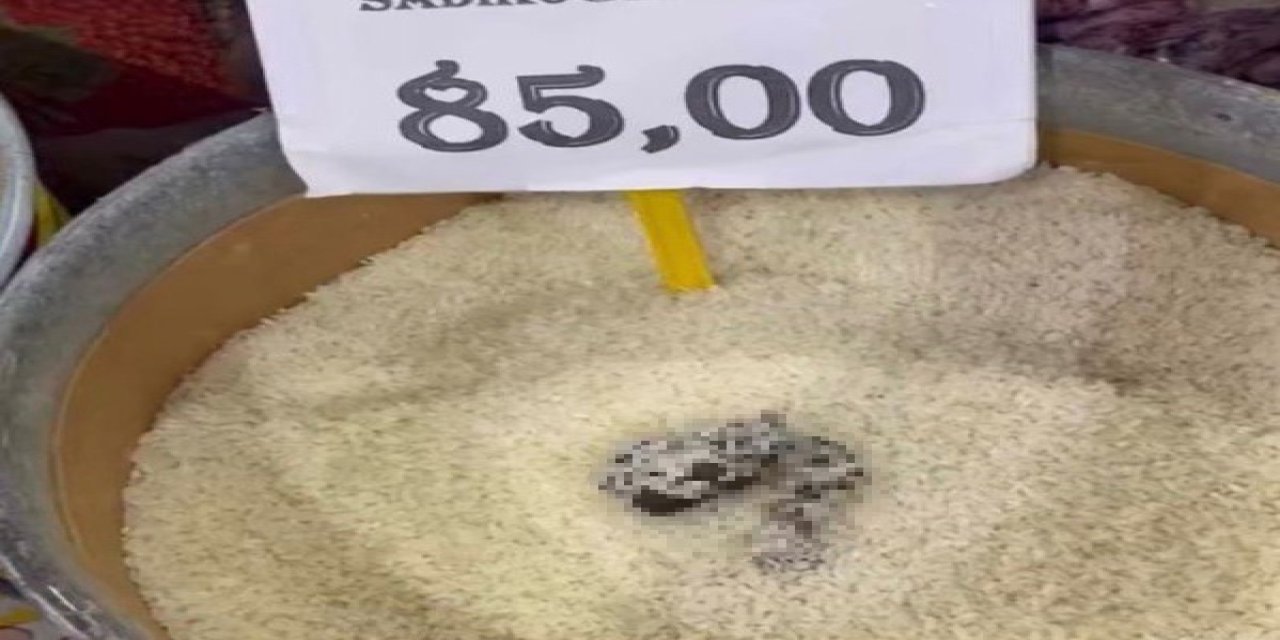 Mersin’de Skandal Görüntü: Pirinçten Kedi Dışkısı Çıkan Markete Ceza