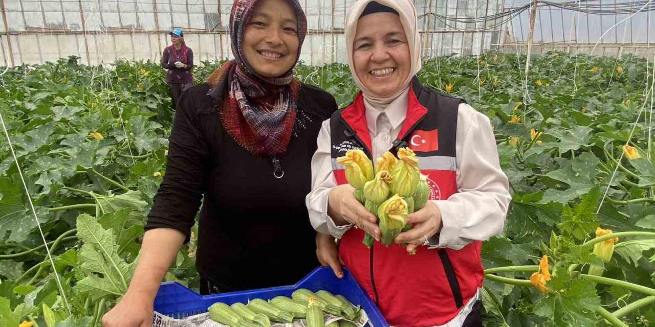 Kadın Çiftçi Hem Üretiyor Hem İhraç Ediyor Hem De Pazarda Satıyor