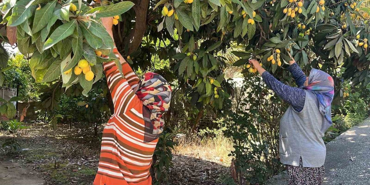 Talep Azalınca Bedava Dağıttı, Poşetini Alan Bahçeye Koştu