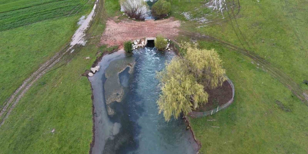 Leyleklerin Durağı Yemyeşil Görüntüsüyle Mest Ediyor