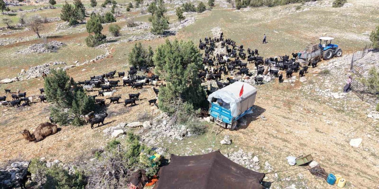 Toroslar’da Yörük Göçü Başladı: Sarıkeçililer Yayla Yolunda