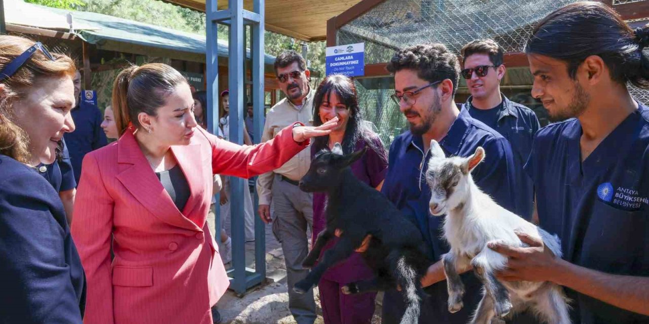 Başkan Vekili Büşra Özdemir: "veteriner Hekimlerin Üstlendikleri Sorumluluk Çok Kıymetli"