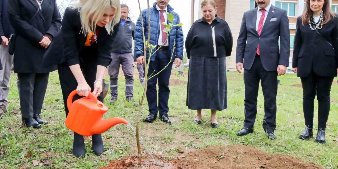 Akdeniz Üniversitesi’nde Son 2 Yılda 5 Bin Fidan Dikildi