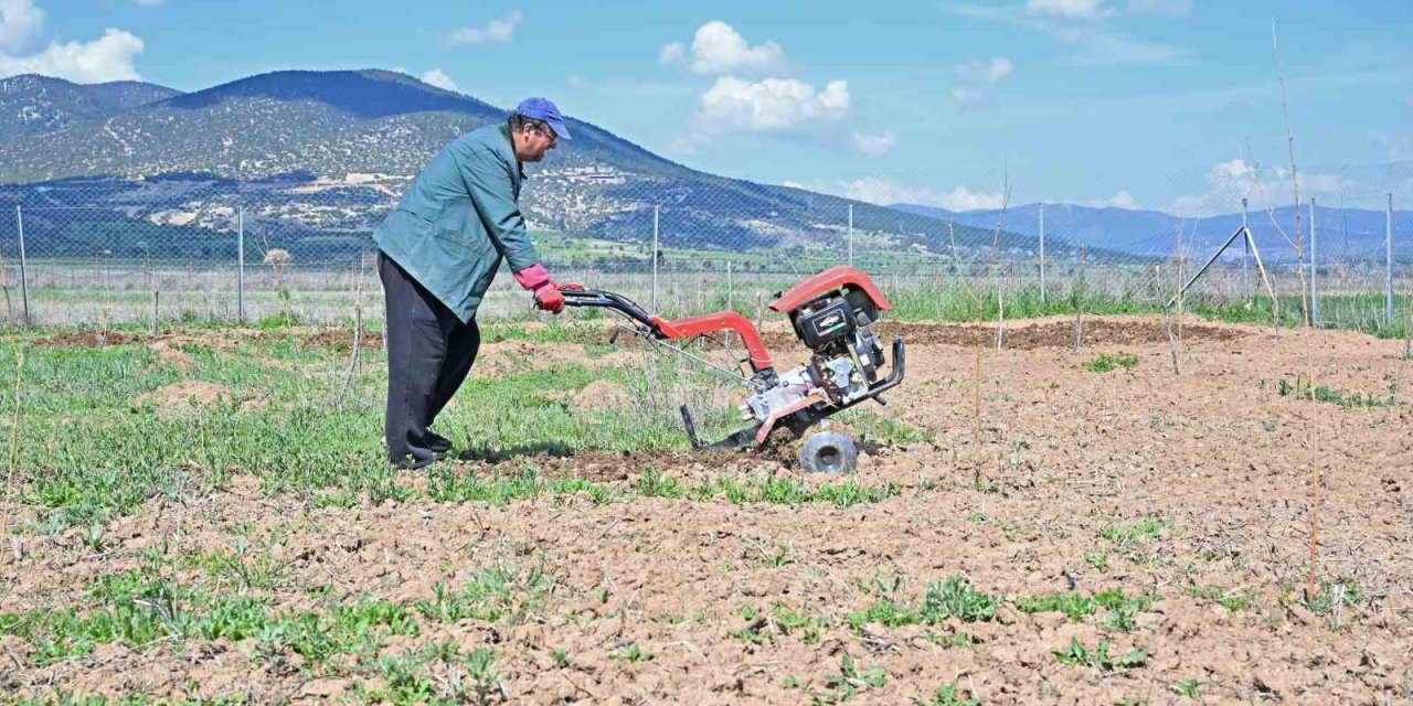Büyükşehir İpek Böceği Yetiştiriciliğini Yaygınlaştırıyor