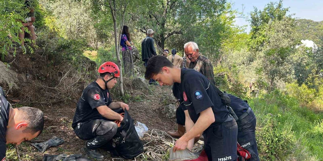 Dağlık Alanda Otlarken Mağaraya Düşen İnek Mağaraya İnebilecek Kasap Bulunamayınca Telef Oldu
