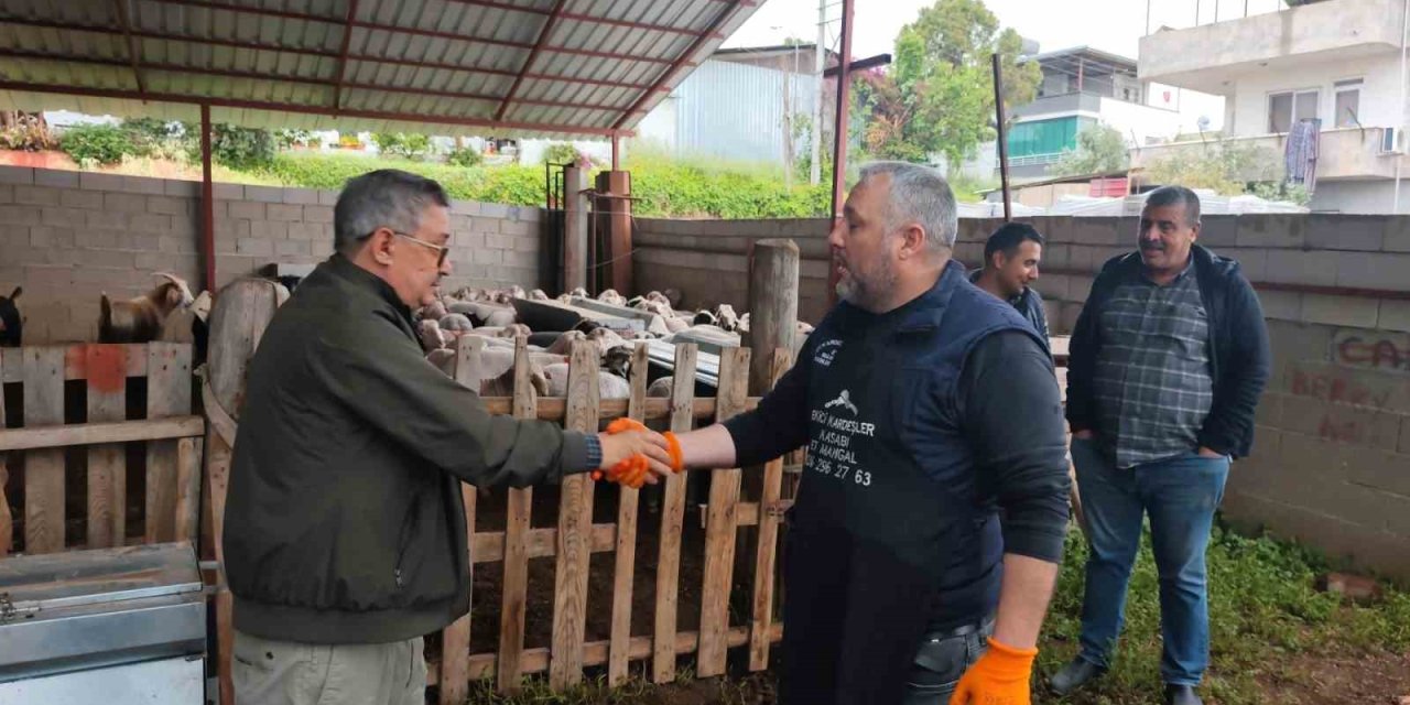 Kurbanlıklar Satışa Çıktı, Pazarlıklar Kızıştı