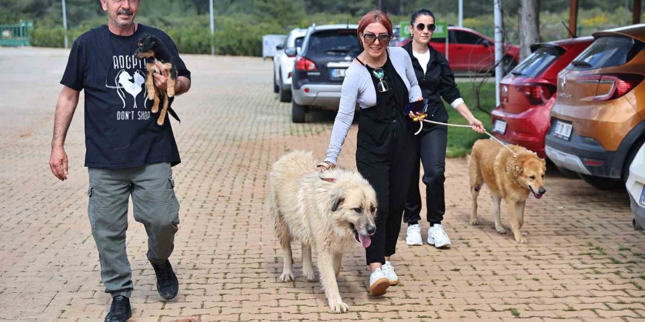 Büyükşehir Bakımevi’nde Can Dostlar Sıcak Yuvalarına Kavuşuyor