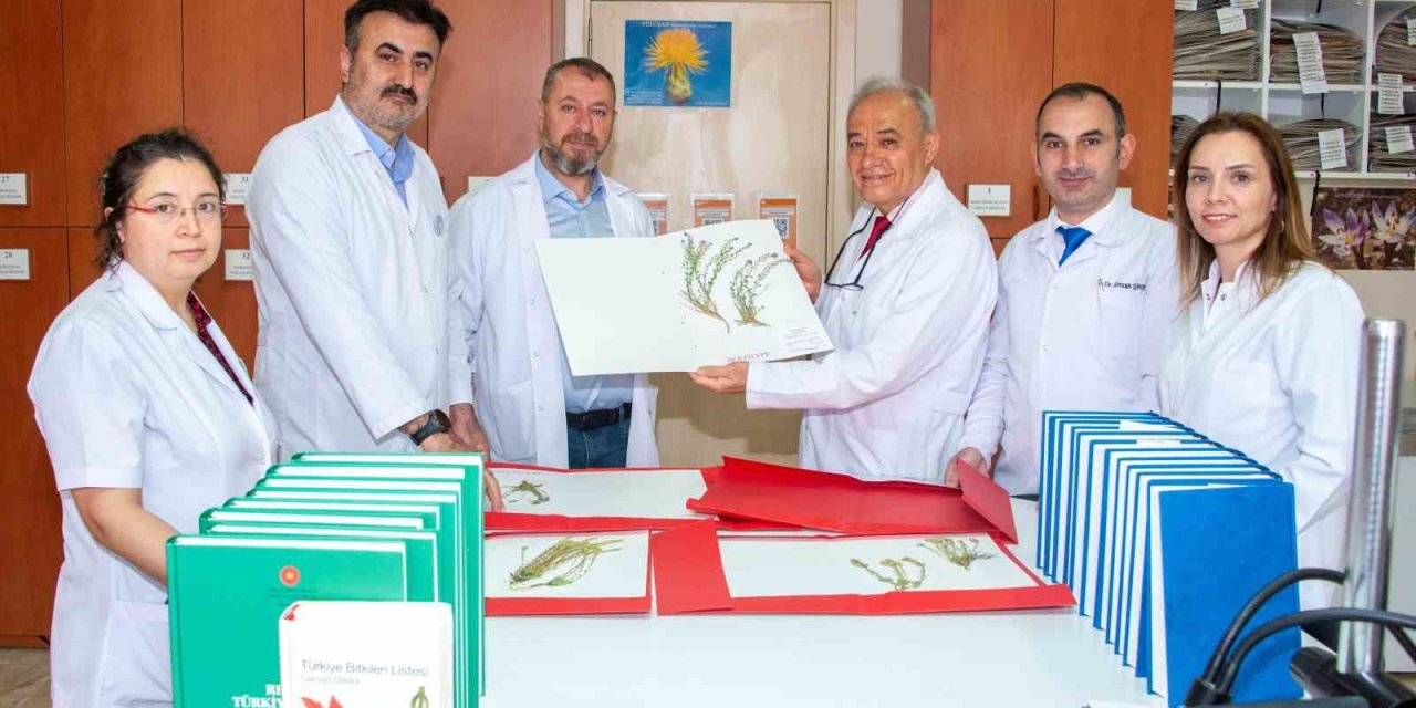 Selçuk Üniversitesi Akademisyenleri 4 Yeni Bitki Türü Keşfetti