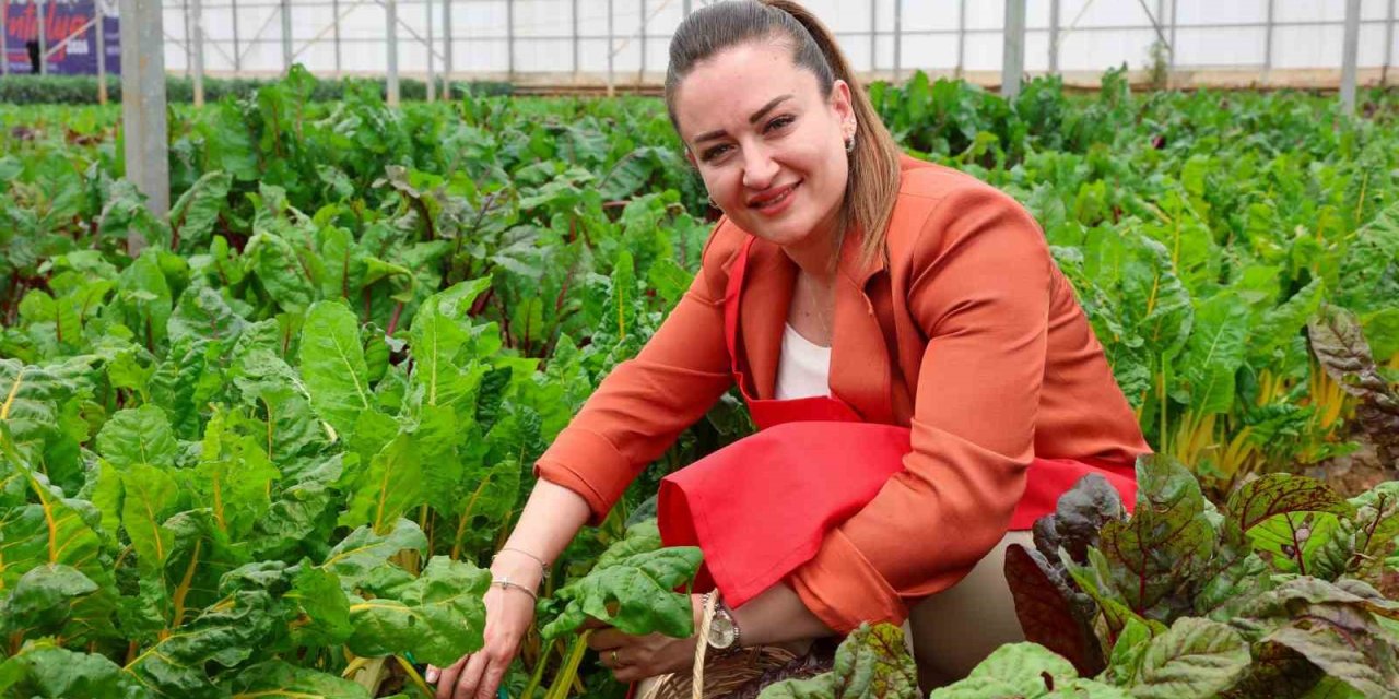 5. Uluslararası Antalya Foodfest Gastronomi Festivali Akdeniz Yeşillikleri Hasadıyla Başladı
