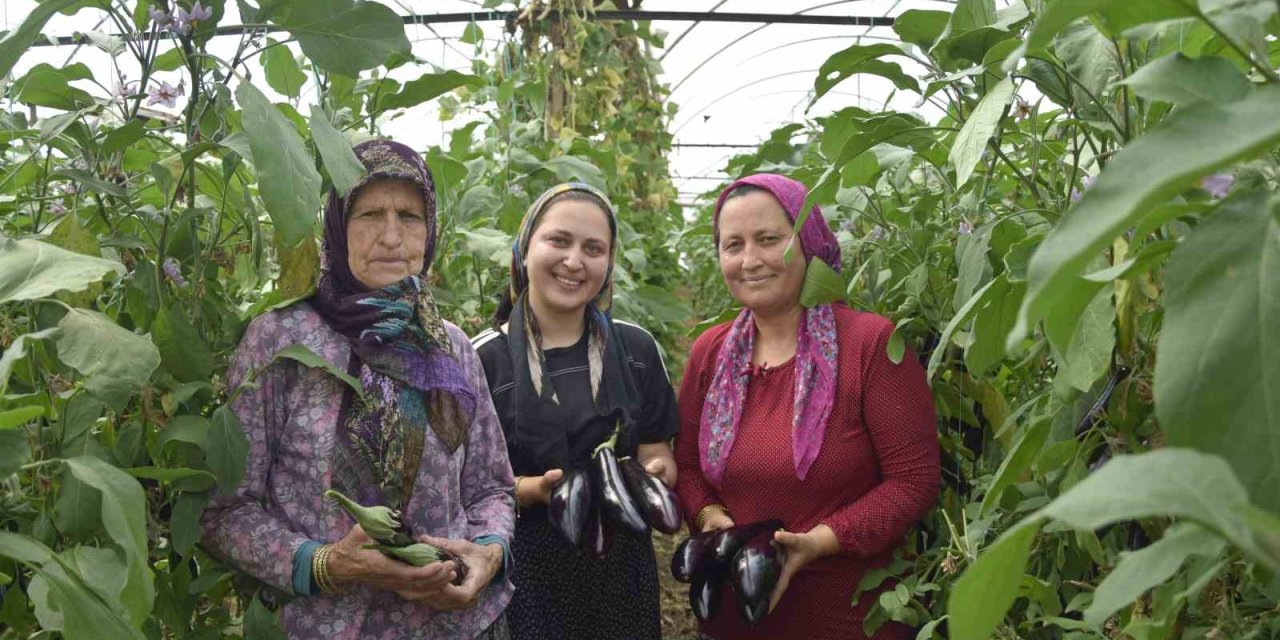 Üç Kuşak Kadın Serada: Nineden Toruna Hem Üretime Hem Aile Ekonomisine Katkı Sağlıyorlar