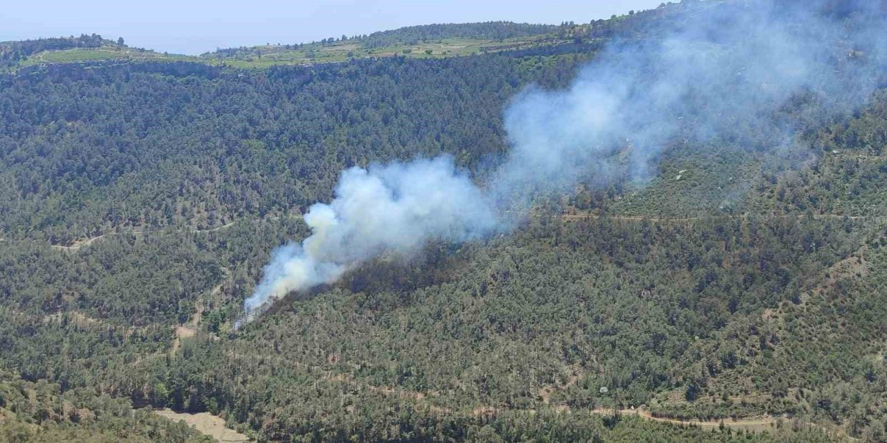 Mersin’de Orman Yangını: Ekiplerin Müdahalesiyle Kontrol Altına Alındı