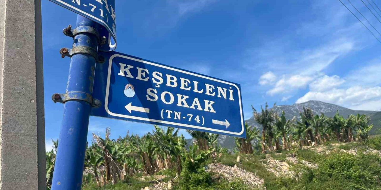 Belediye Çalışanlarından Örnek Davranış: Çöp Konteynerinde Ölüme Terk Edilen Kaplumbağayı Kurtardılar