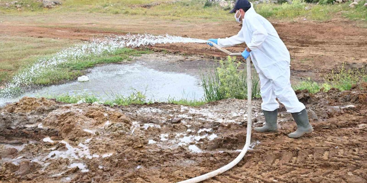 Büyükşehir’den Kurban Satış Alanlarında İlaçlama