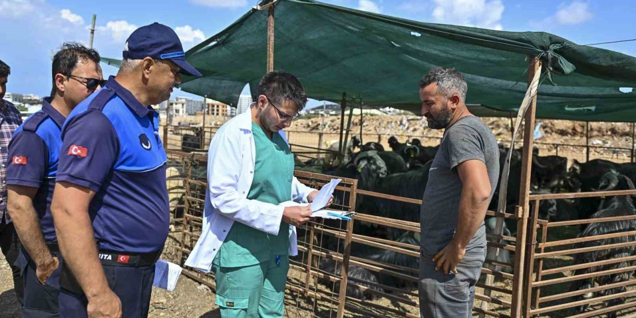 Muratpaşa’da Kurban Bayramı Hazırlıkları Tamamlandı