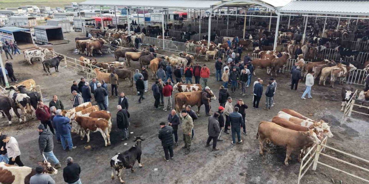 Aksaray’da Hayvan Pazarında Kurban Hareketliliği Yaşanıyor