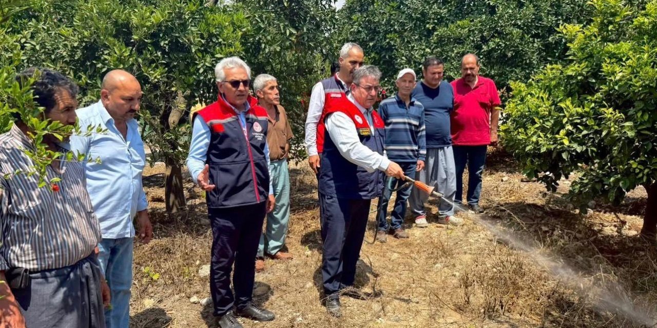Akdeniz Meyve Sineğiyle Mücadele Kesintisiz Sürüyor