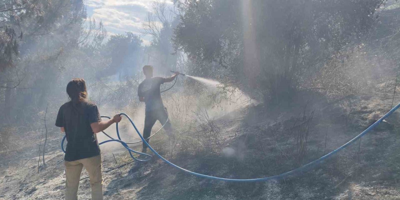 Antalya’da Ormanlık Alanda Yangın