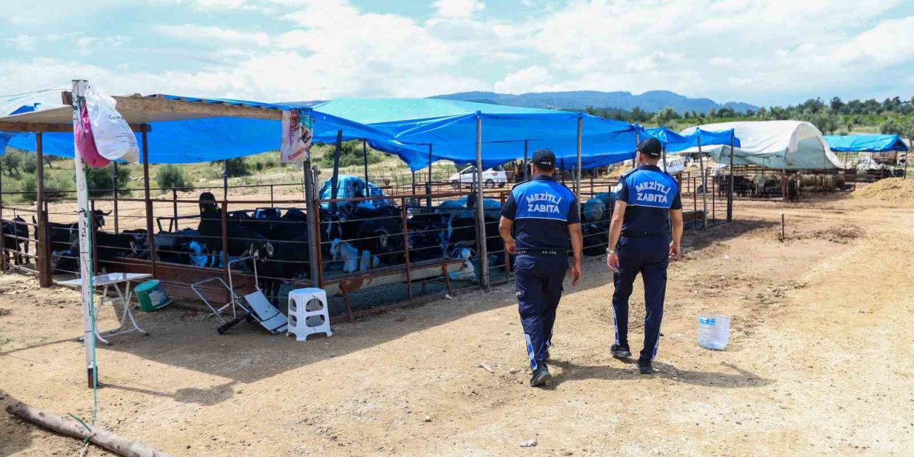 Mezitli’de Kurban Bayramı Öncesi Sıkı Denetim
